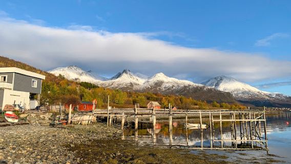 Oksfjord båthavn