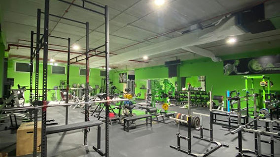 ReActive Fitness Club - Urbino
