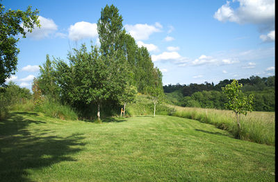 Camping Aux Mêmes