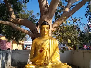 Mahabodhi Buddha Vihar Watfali