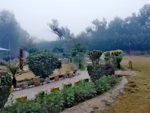 Womens Park