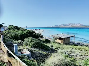 Spiaggia la Pelosa