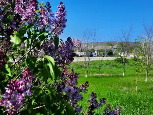 Parc Coropceni