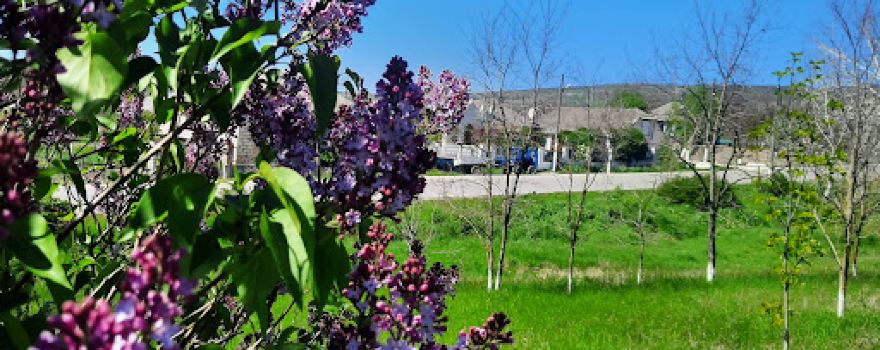 Parc Coropceni