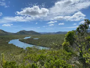 Site De Netcha