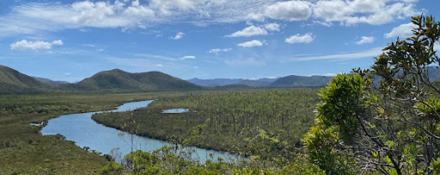 Site De Netcha