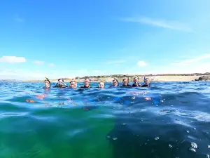Atlantic Scuba Adventures
