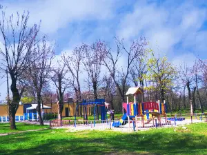 Карачуновский парк
