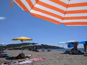 Feniglia