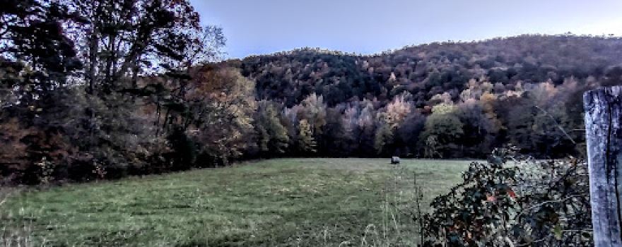 Fancy Hill Mountain