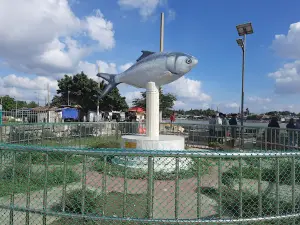 Boro Station