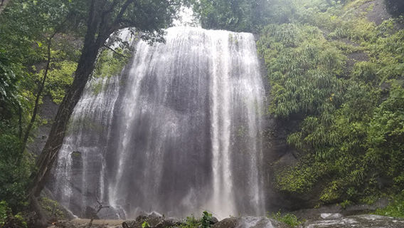Treetop Adventure Park