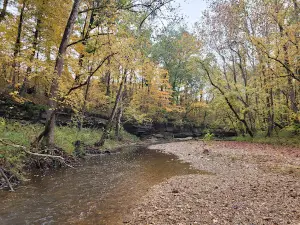 Big Oaks National Wildlife Refuge