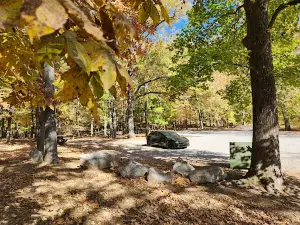 Hematite Lake Picnic Area