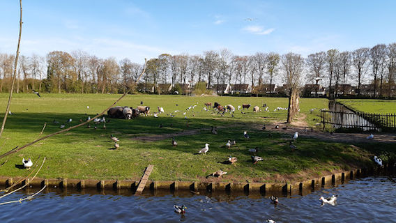 The Vechtse Hoeve Petting Farm