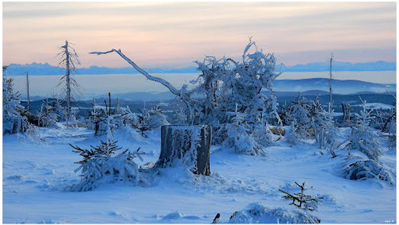 Tri-Border Czechia/Austria/Germany (CZE/AUS/DEU)