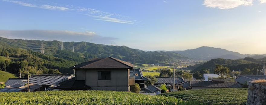Harayama Enkei Chabatake
