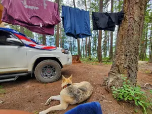Ashley Lake South Campground
