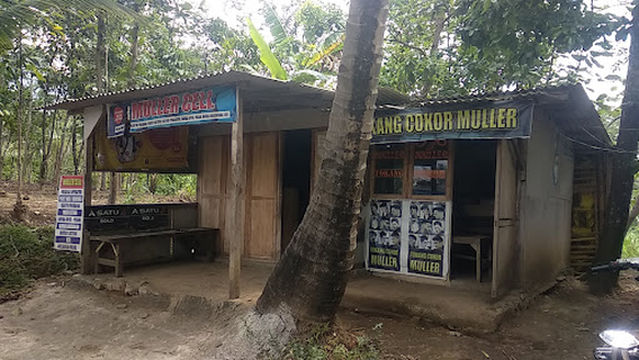 Lapangan Desa Ranugedang