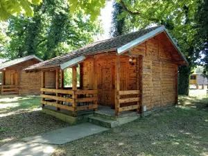 Bojčinska šuma