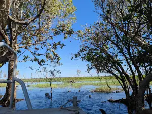 Mary River Wetlands Cruise