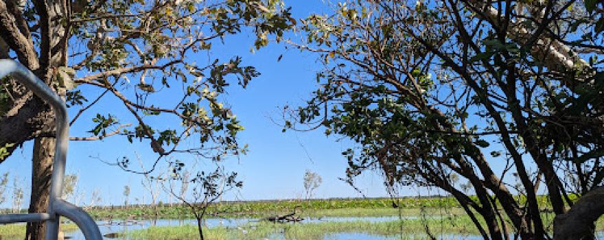 Mary River Wetlands Cruise
