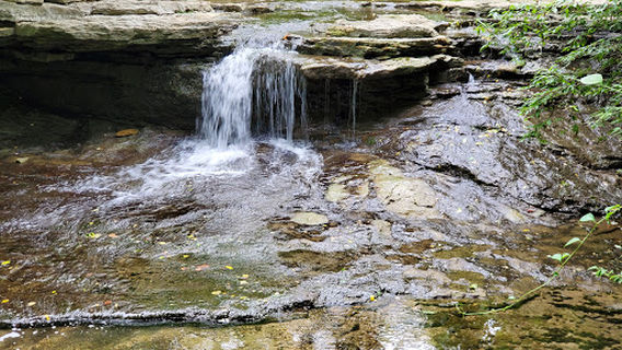 Lower Cascades Park