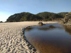 Playa Pudá