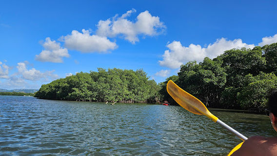 KAYAK NATURE EVASION