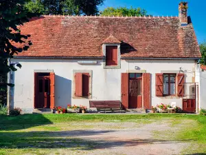 Forêt de Tronçais