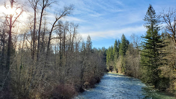 Landsburg Reach Natural Area