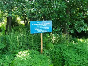 Saloleyskiye Rodniki