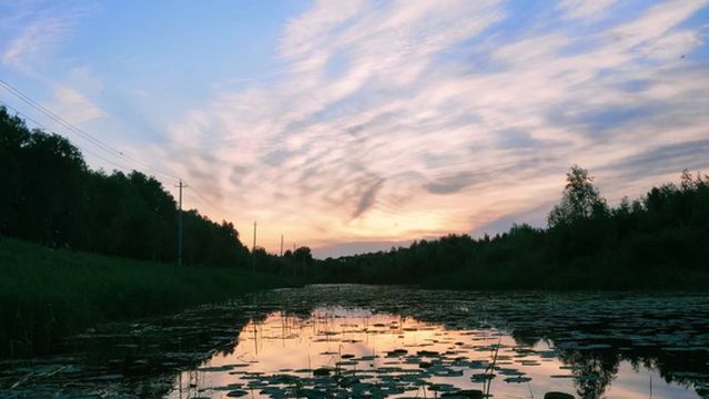 da an nen jiang wan lv you qu - wai tan