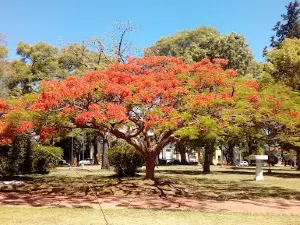 Plaza Sáenz Peña