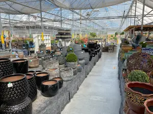 Parkway Garden Centre