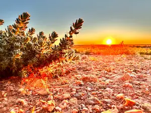 Sunset Hill Lookout, Tibooburra