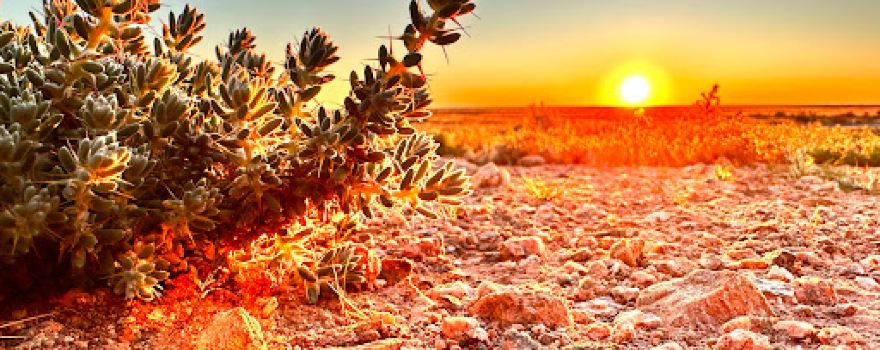 Sunset Hill Lookout, Tibooburra