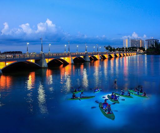 Night Kayak