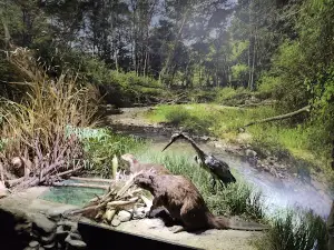 Muzeum Przyrodnicze im. Krystyny i Włodzimierza Tomków w Ciężkowicach