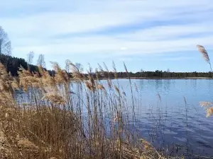 Kurtna matkarajad, Martiska lõkkekoht