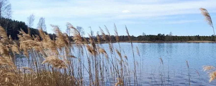 Kurtna matkarajad, Martiska lõkkekoht