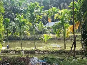 Andalus Wisata Keluarga
