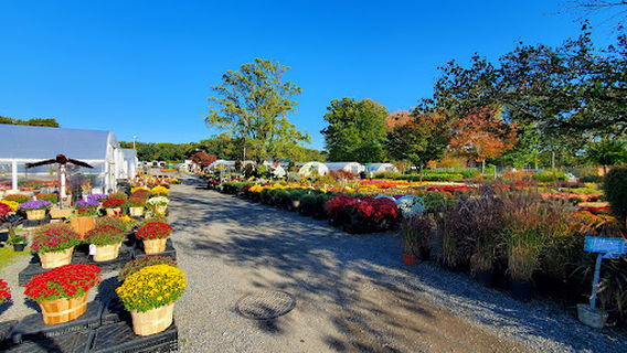 Mr. Green Jeans Inc.