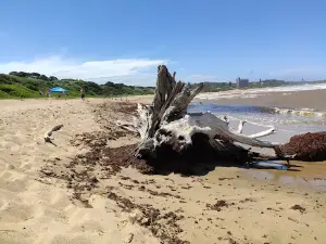Umtentweni Public Beach