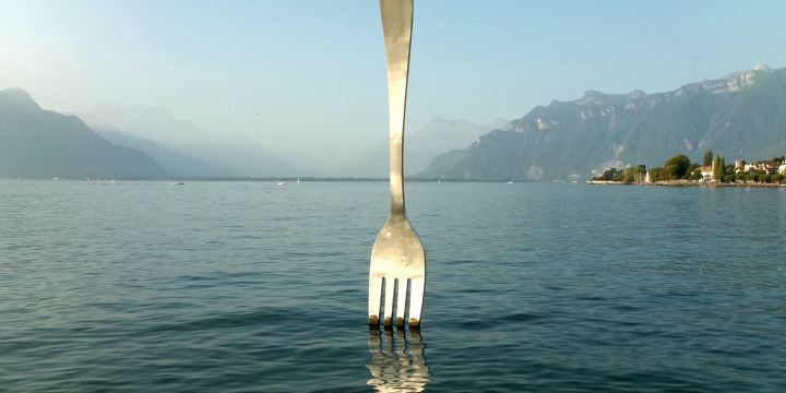 The Fork - Alimentarium
