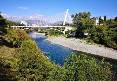 Morača river