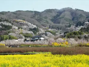 Hanamiyama Park