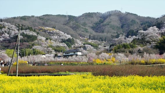Fukushima