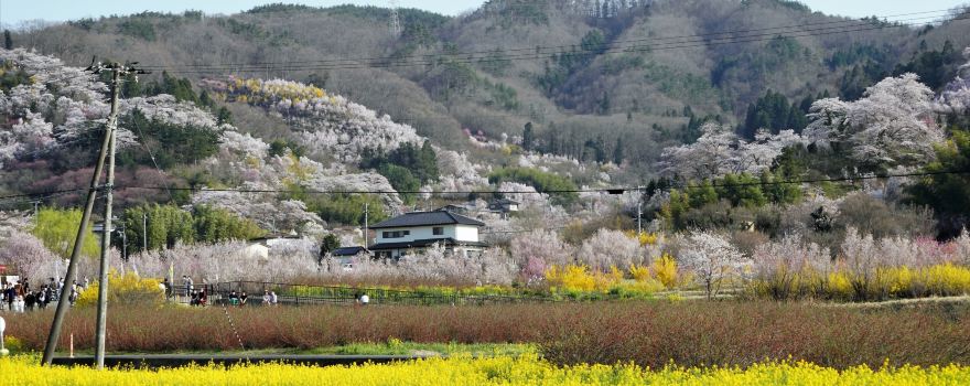 Parc Hanamiyama