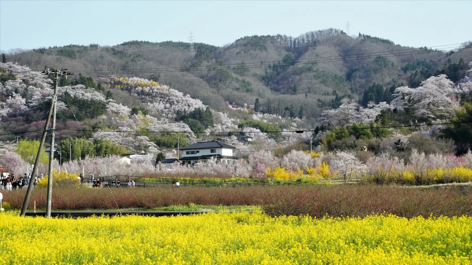 花見山公園周辺のホテル